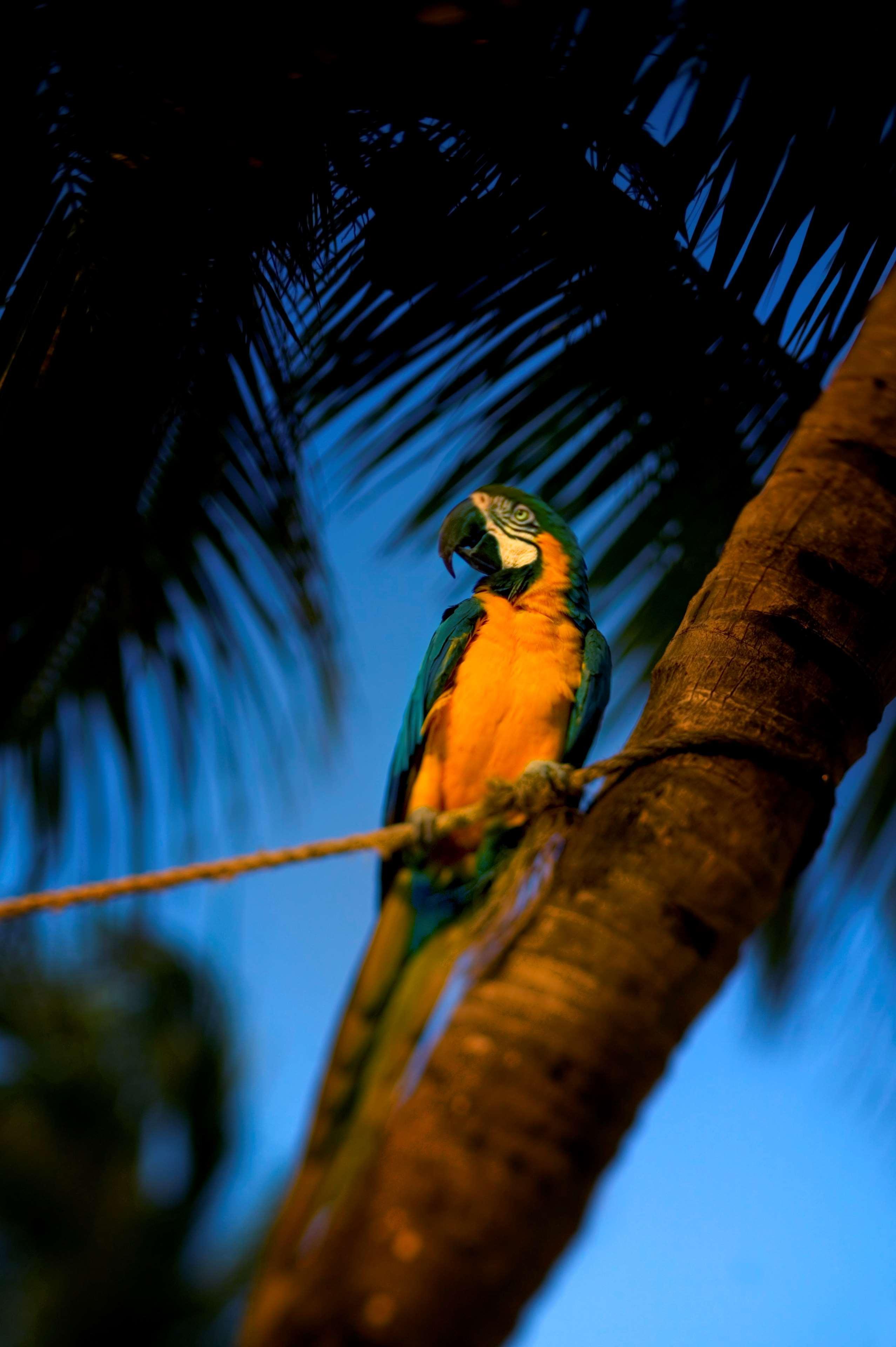 Hyatt Centric Key West Resort & Spa Dış mekan fotoğraf